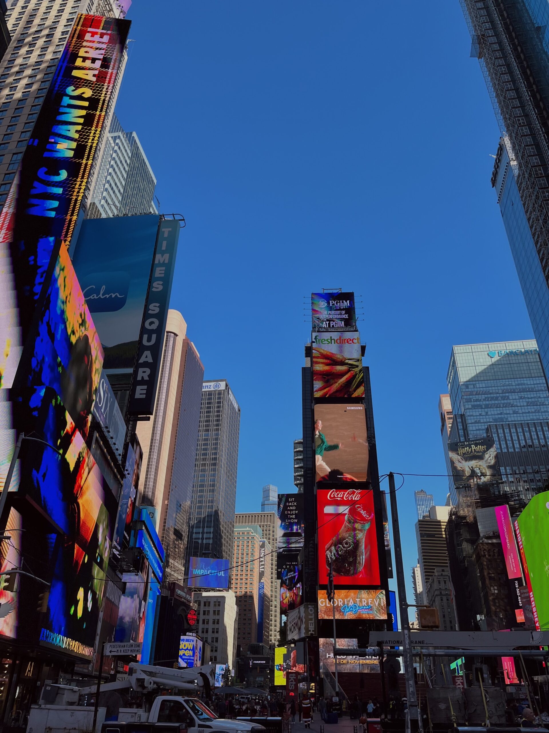 Scopri di più sull'articolo Mobilità Internazionale – Piscataway, New Jersey USA – Elisabetta